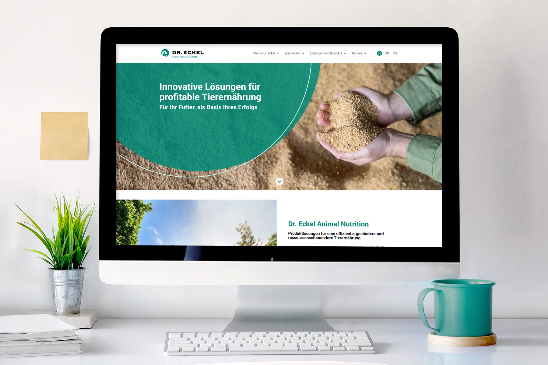Auf einem Computermonitor wird eine Website über innovative Lösungen für die Tierernährung angezeigt.